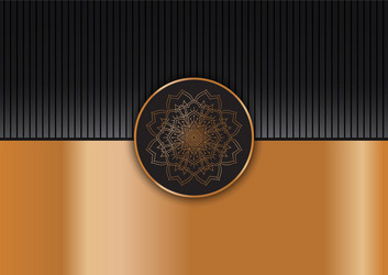 decorative background with elegant mandala design vector