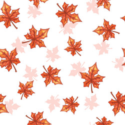 Seamless pattern with falling maple red leaves vector