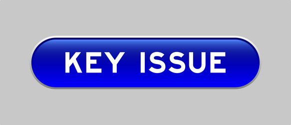 blue color capsule shape button with word key vector image