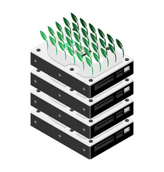 chia coin plotting hdd sprouts seedling hard vector image