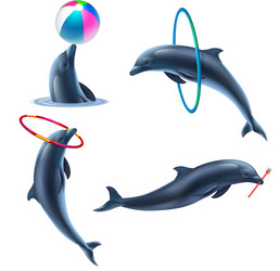 Dolphin circus realistic icon set vector