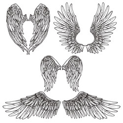 Hand drawn wings of bird angel wing Royalty Free Vector