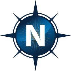 insights guide initial n vector image