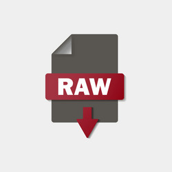 Raw download icon on background button vector