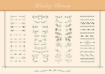 set ornate frames and scroll elements vector image