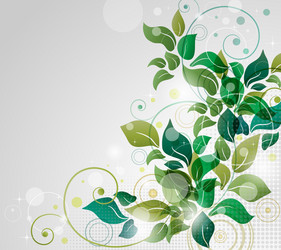 Beautiful background with flora vector