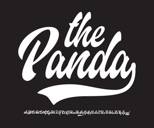 Retro Brush Script Font - Panda vector image