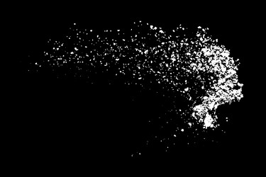 White splashes isolated on black background vector