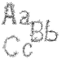 alphabet in style of a sketch the letters b c vector image