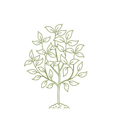 outline small tree open paths editable stroke vector image