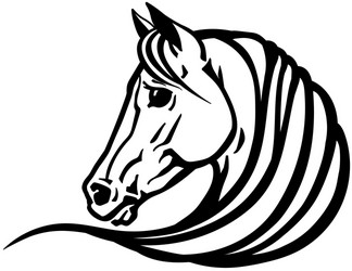 White Horse Head Portrait Vector Image