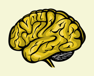 Human brain cartoon isolated Royalty Free Vector Image