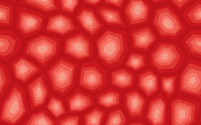 abstract modern turtle shell seamless pattern vector image