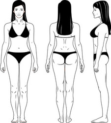 Naked standing woman Royalty Free Vector Image