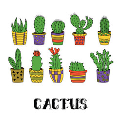cute hand drawn cactuses in flower pots Vector Image