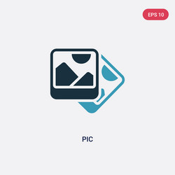 two color pic icon from web navigation concept vector