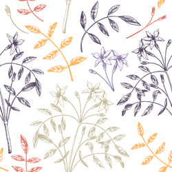 hand sketched jasmine seamless pattern in color vector