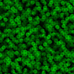 seamless pattern with green halftone dots ordered vector image