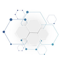 Molecular connection structure vector