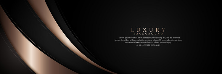 Abstract black and gold luxury background dark vector