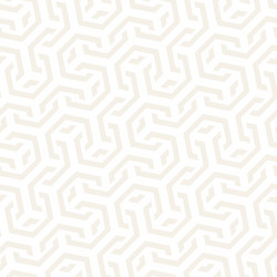 Interlaced Hexagonal Pattern vector image