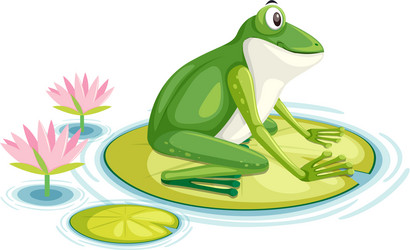 a frog on the lily pad Vector Image