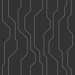 abstract seamless pattern with lines vector image
