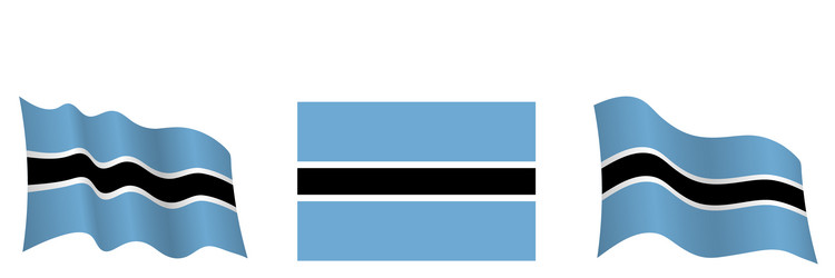 flag botswana in static position and motion vector image