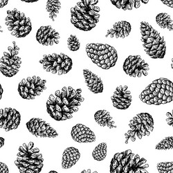 Wild berry seamless pattern drawing hand drawn Vector Image