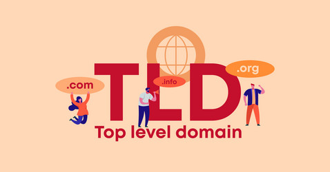 tld top level domain organization site and web vector image
