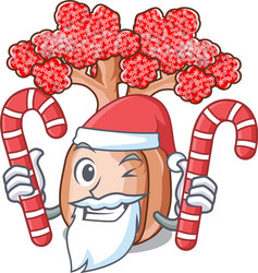 Naked Christmas Tree Vector Images (55)