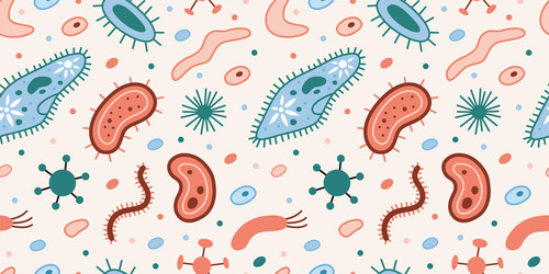 seamless pattern with simplest unicellular vector image