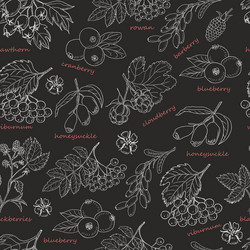 seamless pattern with forest berries on dark vector