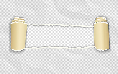 crumpled paper with rolled edge on transparent vector image