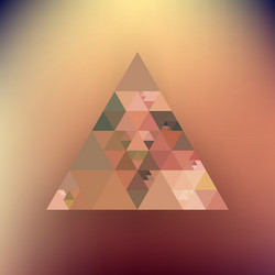 hipster triangle background vector image