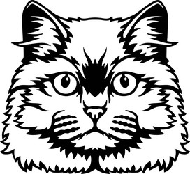 british longhair cat peeking cats vector