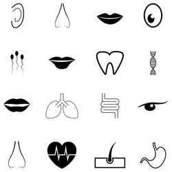 Human anatomy icon set Royalty Free Vector Image