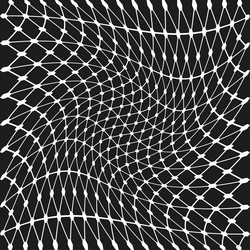 distorted net pattern optical black curved grid vector image