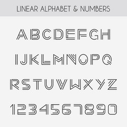 linear font vector image
