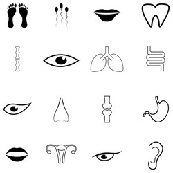 Human anatomy icon set Royalty Free Vector Image