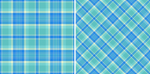check pattern of background tartan texture vector image
