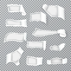 torn paper curls realistic transparent vector