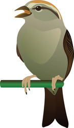 little bird perched on twig Vector Image