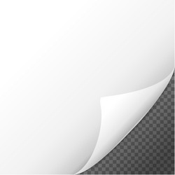 page curl shadow effect on blank sheet of paper vector image