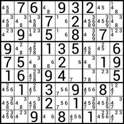 Sudoku Puzzle Game - Number Challenge vector image