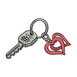 a bunch keys with keychain vector image