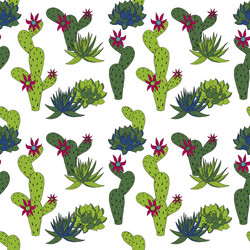 abstract seamless pattern with cactus vector image