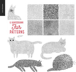 Hand Drawn Fur Patterns - Cats & Textures vector image