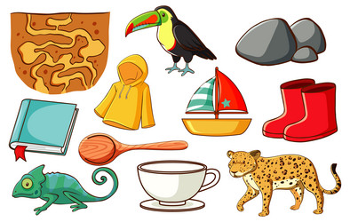 Set of various animals and objects vector