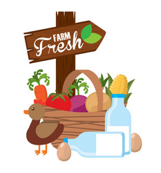 Farm fresh concept Royalty Free Vector Image - VectorStock